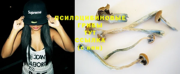 эйфоретик Беломорск